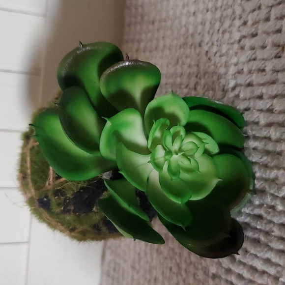 FAUX HOUSE PLANT GREENERY - Picture 2 of 4